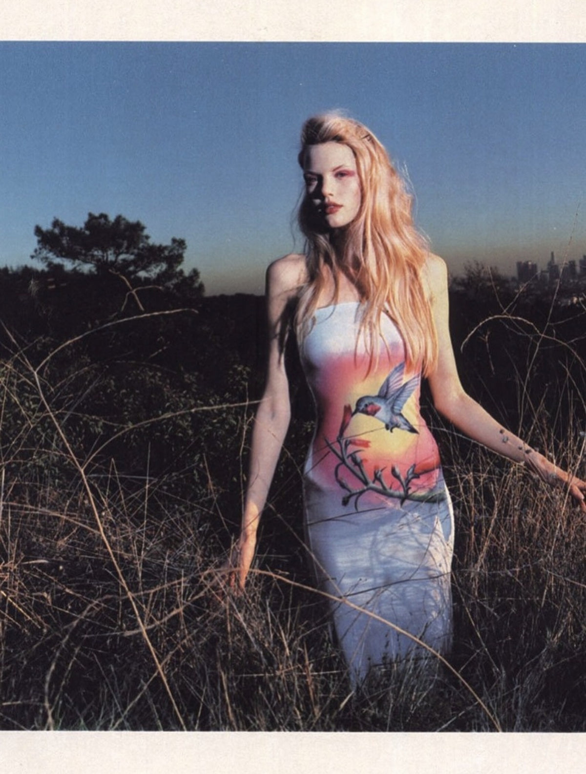 Reference: editorial — Chloé Spring Summer 1999 hummingbird graphic dress (same print motif)