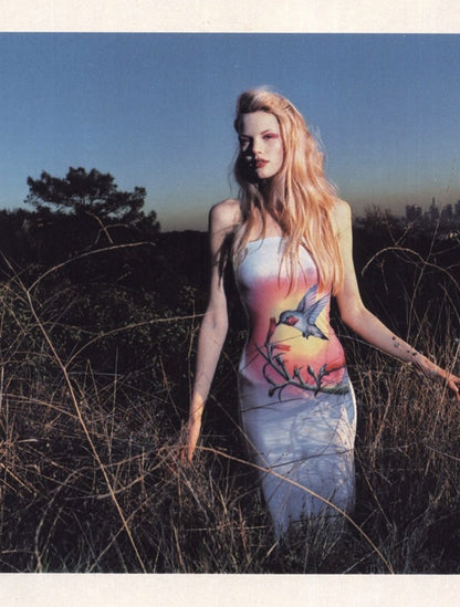 Reference: editorial — Chloé Spring Summer 1999 hummingbird graphic dress (same print motif)